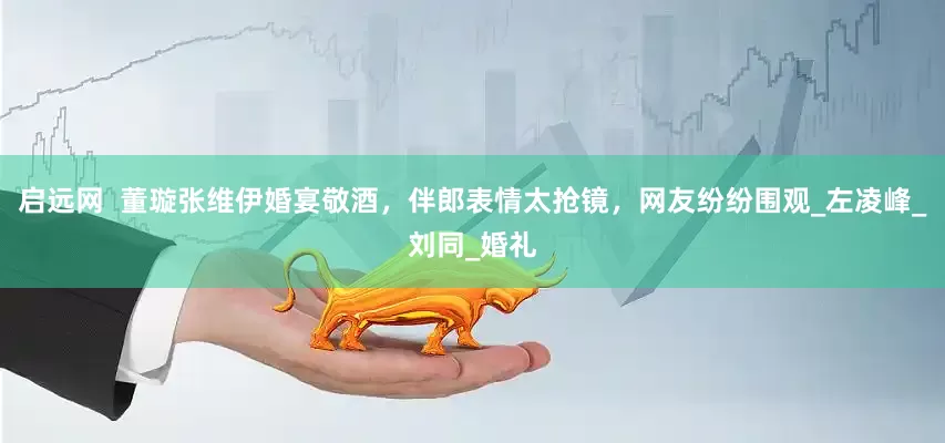 启远网  董璇张维伊婚宴敬酒，伴郎表情太抢镜，网友纷纷围观_左凌峰_刘同_婚礼