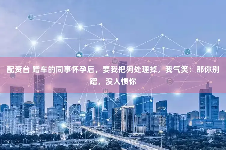 配资台 蹭车的同事怀孕后，要我把狗处理掉，我气笑：那你别蹭，没人惯你